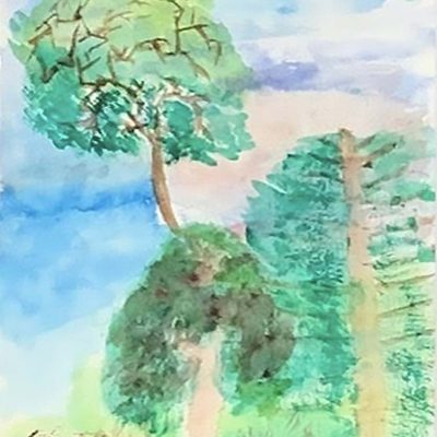 Lucile LAFFONT - Le Drone