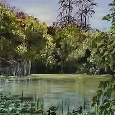 Poules d'eau sur l'Isle - Françoise FILLAU